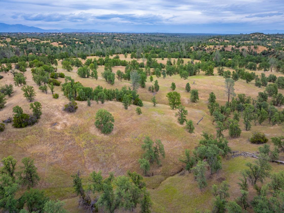 480 Acre Litte Crane Creek Ranch - photo 10