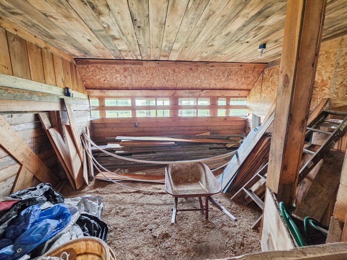 103 acres in rural Maine - photo 14