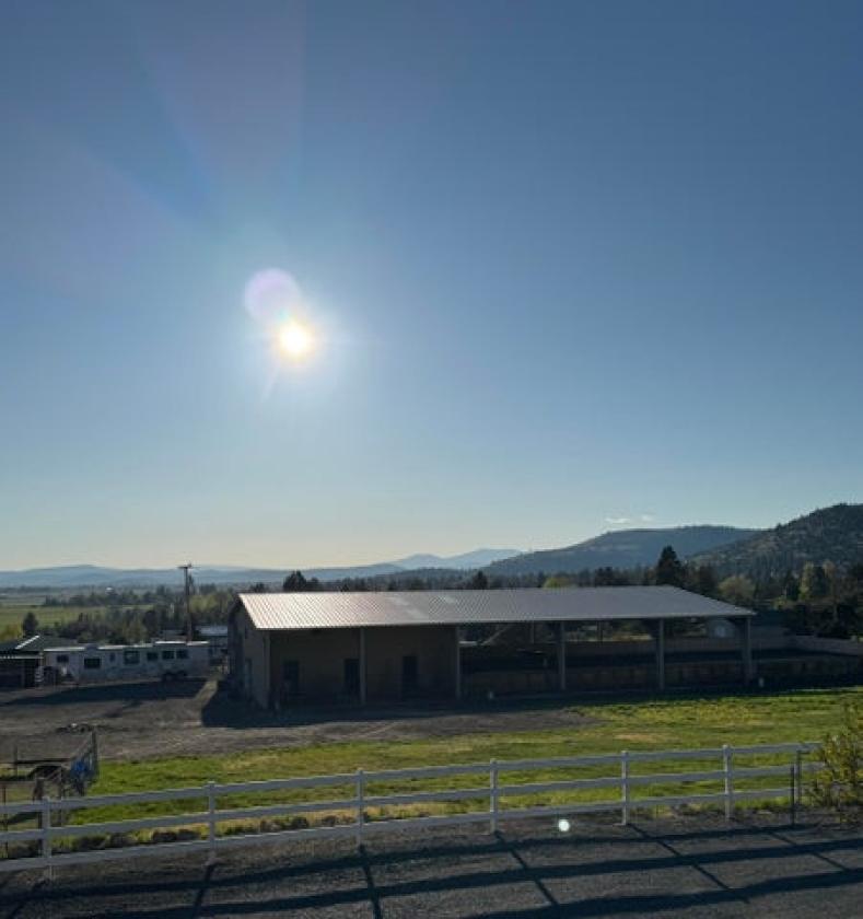 Luxury Equestrian Estate - photo 3