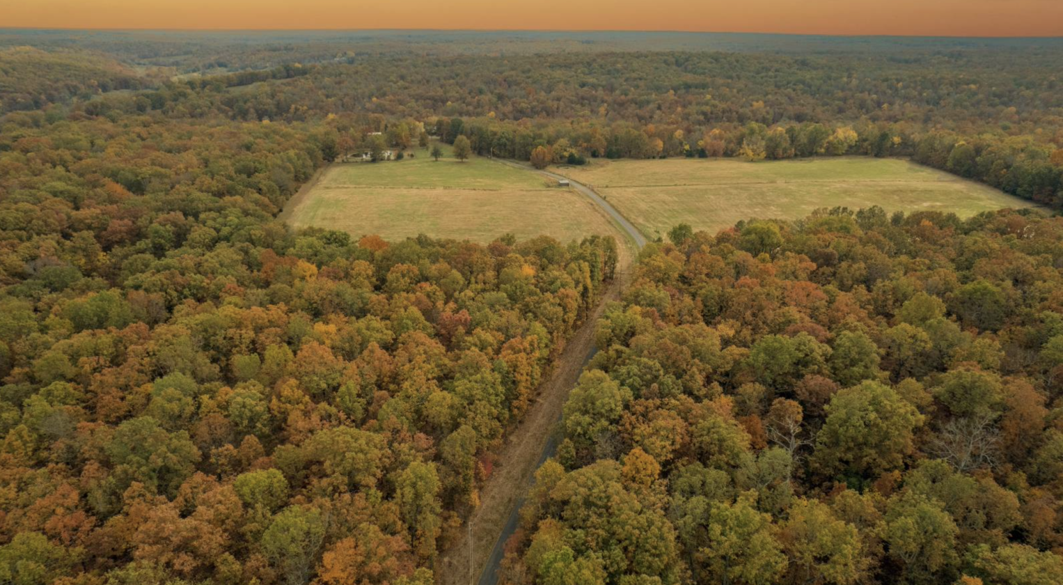 Stunning 313± Acre Double D Ranch - photo 29