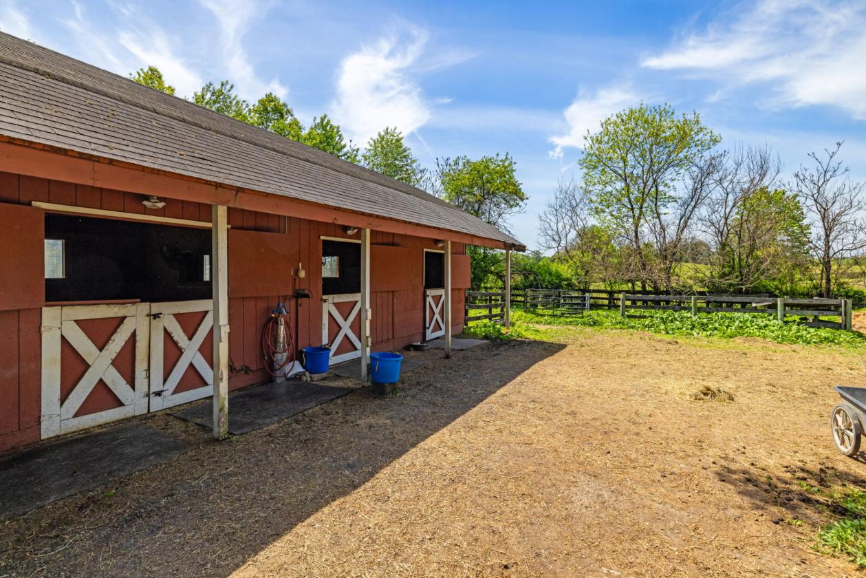 Black Jack Farm - photo 4