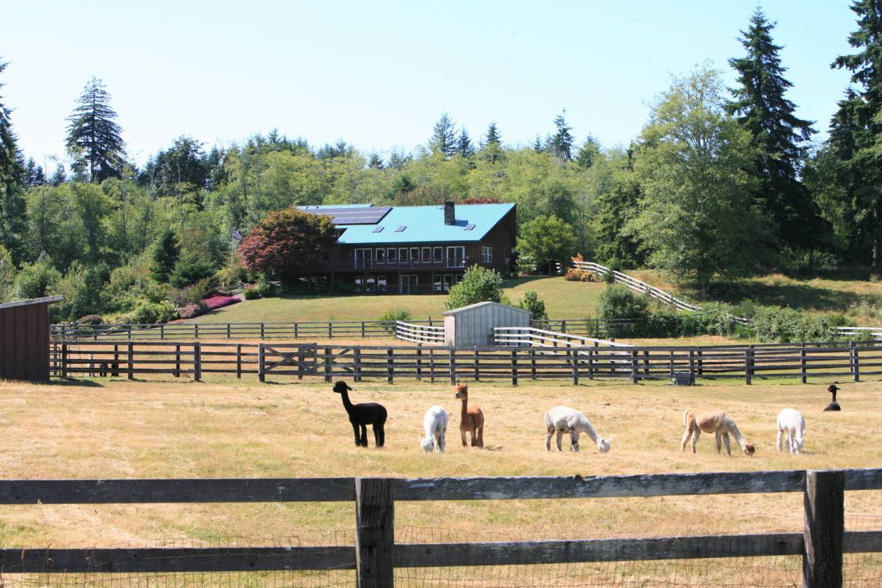 Western Washington Equestrian Estate Montesano, Grays Harbor County