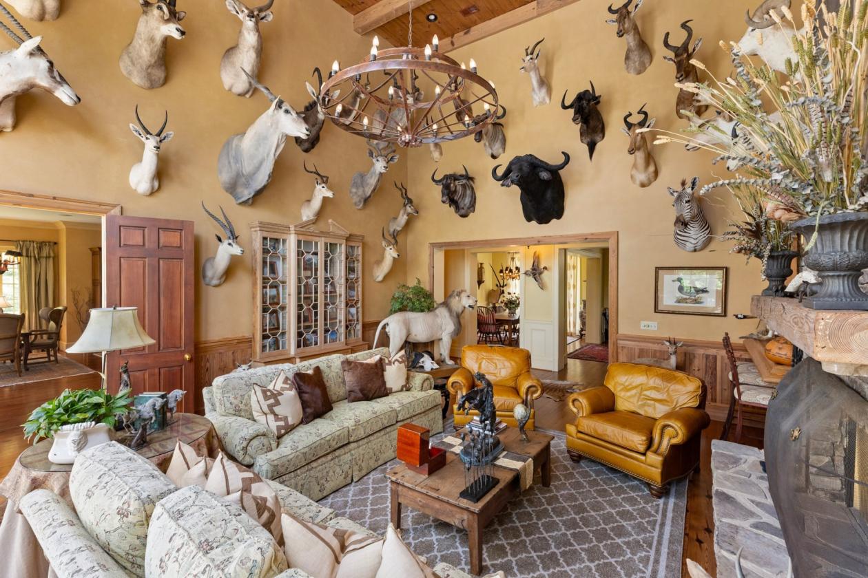 Luxury Equestrian Estate Bordering National Forest - photo 14