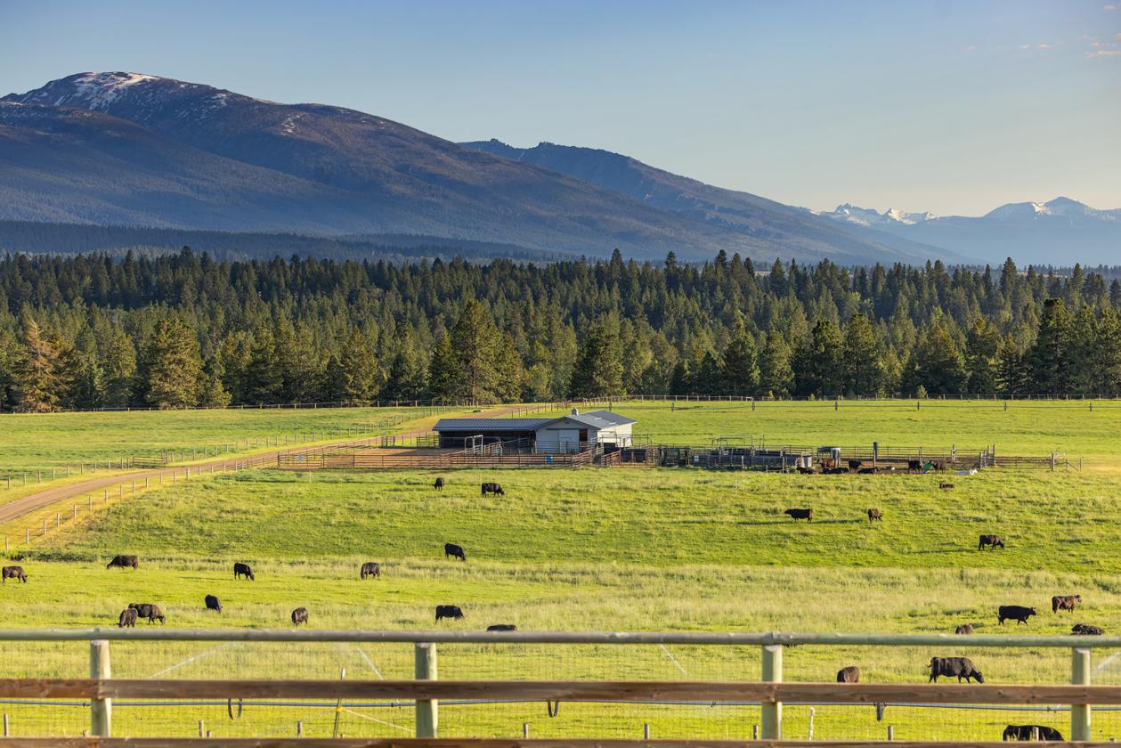 Two Feathers Ranch - photo 29