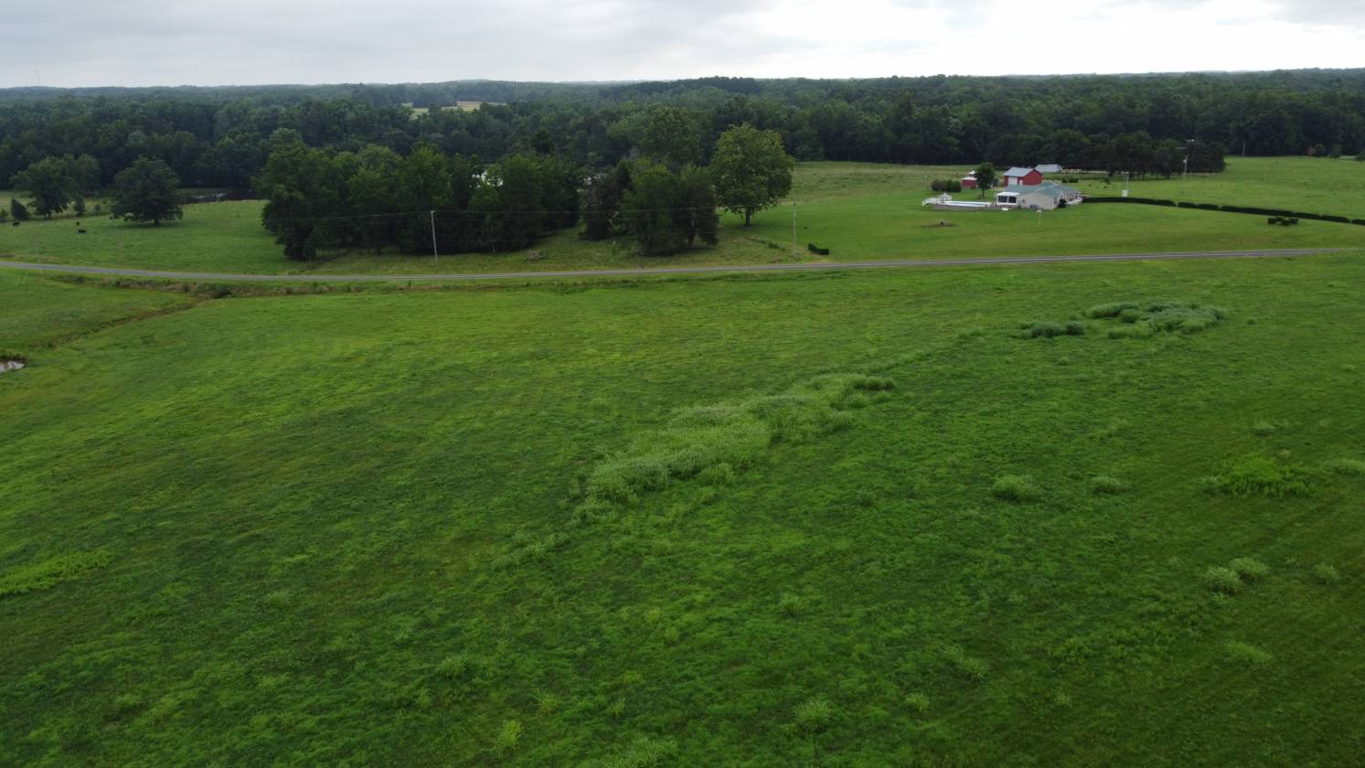 Beautiful field for your new home and horses too! - photo 4