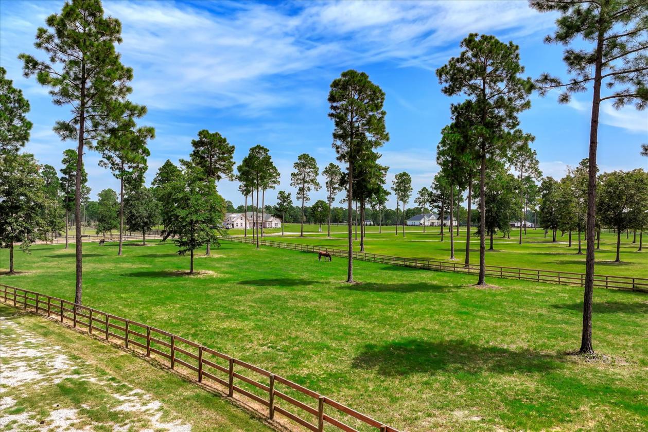 12 Acres Horse Property in the Paddocks - photo 3