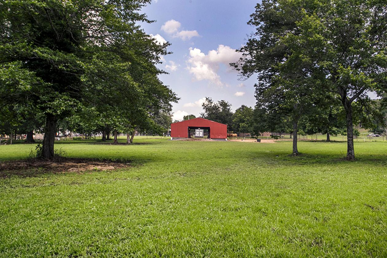 Turnkey Horse Farm on 5 acres with barn - photo 15