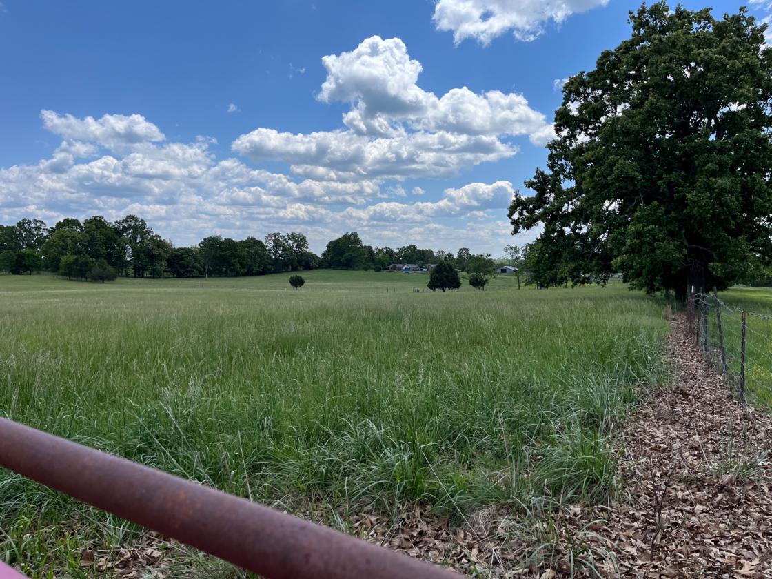 Southern Missouri Horse Property - photo 13