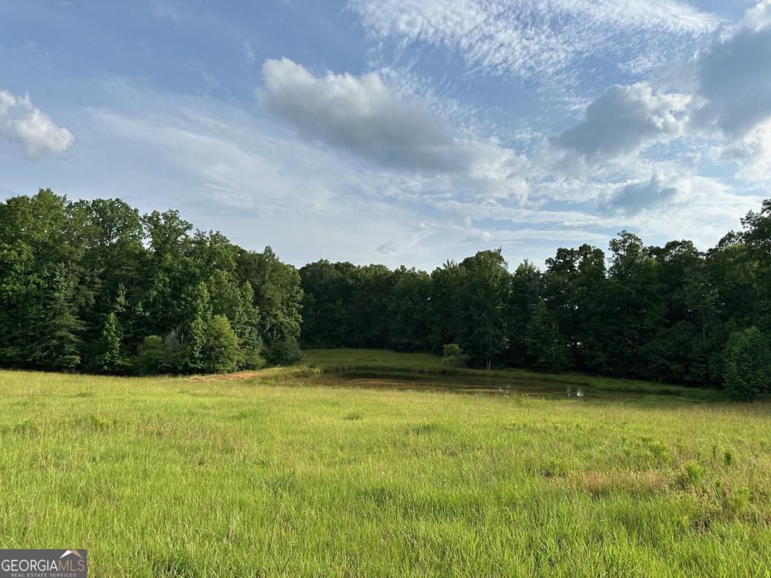 Build Your Equestrian Dream Estate - photo 13