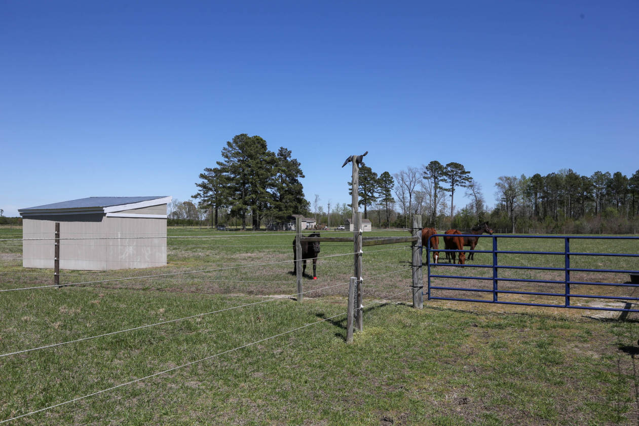 42.99 AC HORSE FARM Zuni, Southampton County, Virginia
