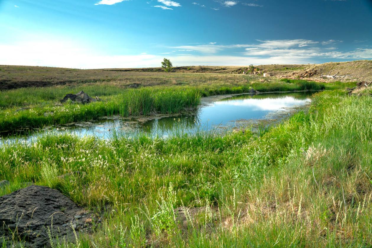 Horse Ranch: 363 Acres, Water & State Land Access - photo 6