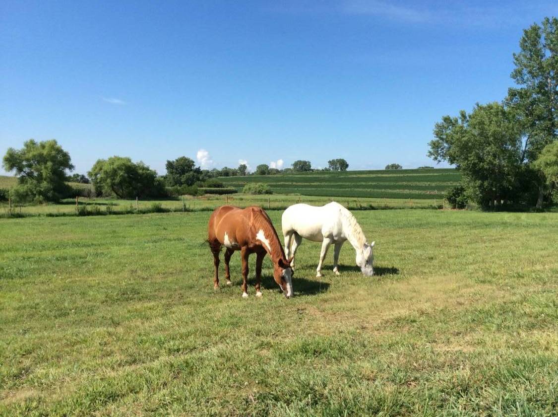 AMAZING ELKHORN ACREAGE READY FOR YOUR HORSES!! Elkhorn, Douglas
