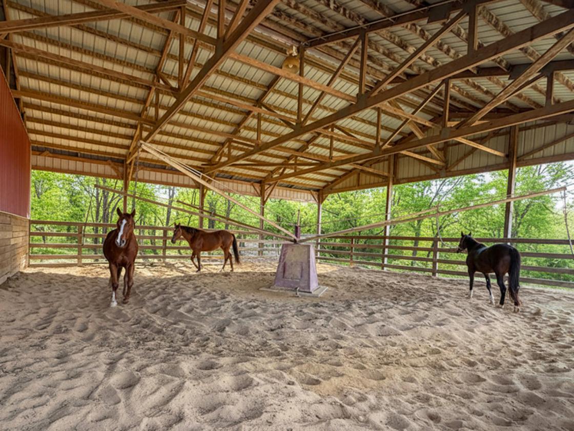 52 Acre Equestrian Estate - photo 22