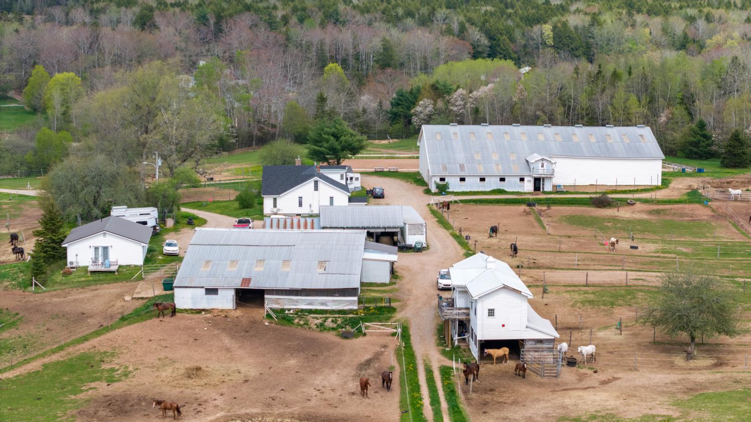 41 Acre Equestrian Facility with 2 homes For Sale - photo 15