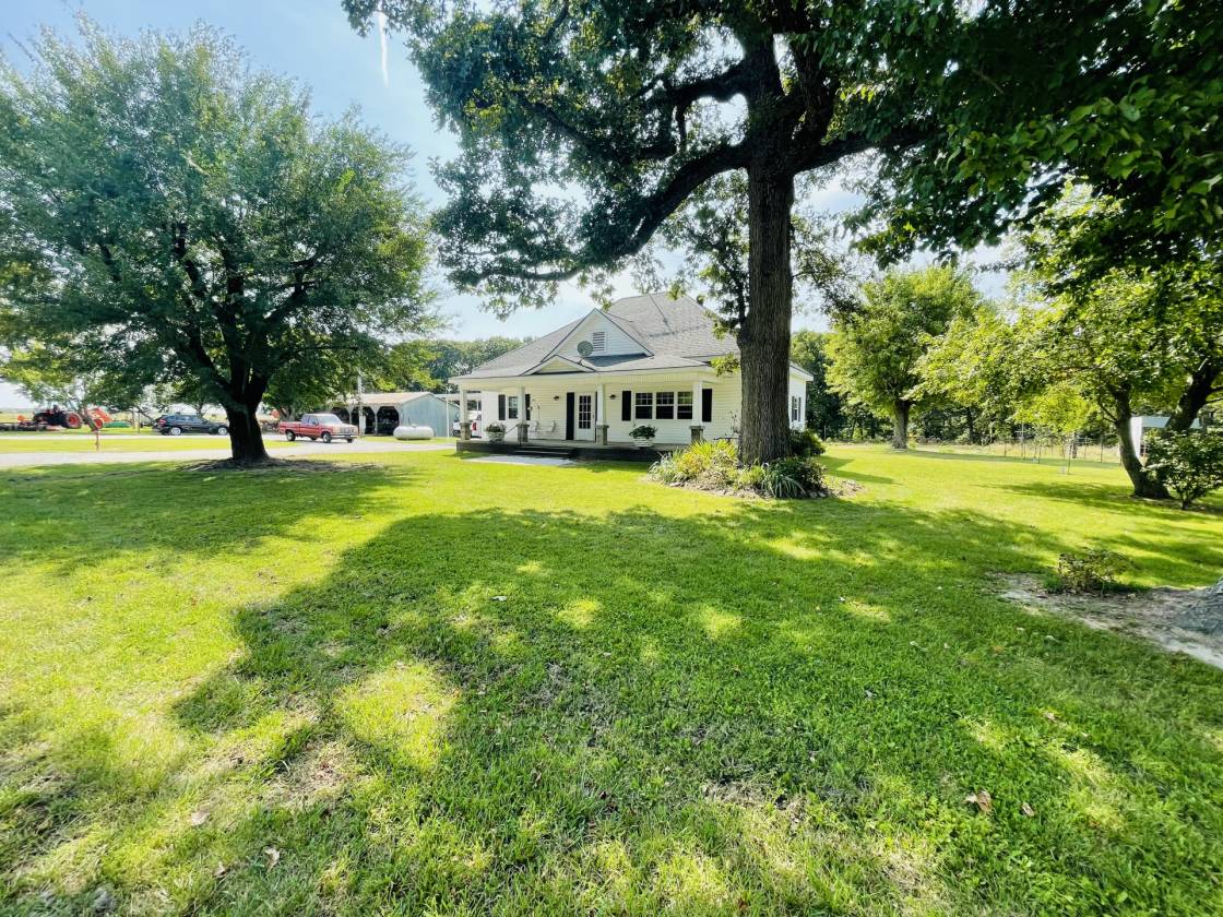 206 beautiful mostly level land - photo 11
