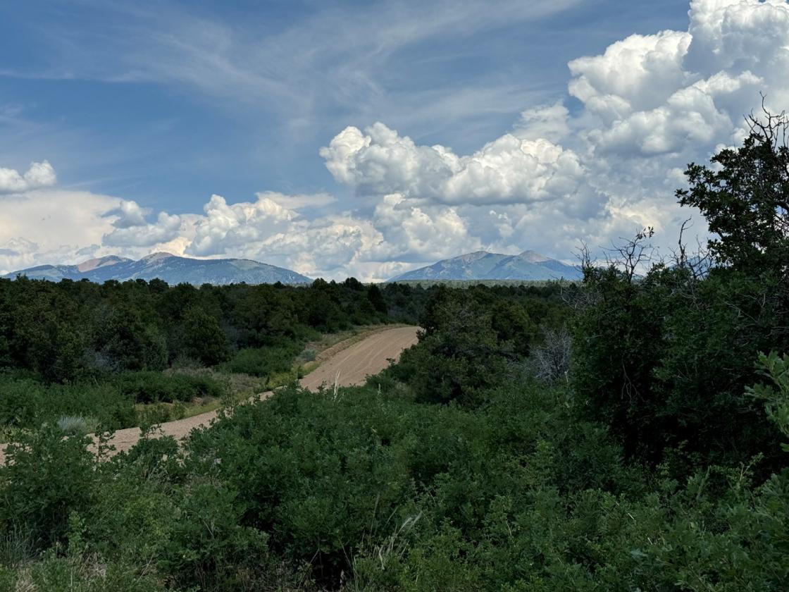 36 Acres of Mountain Land for Your Horses - photo 4