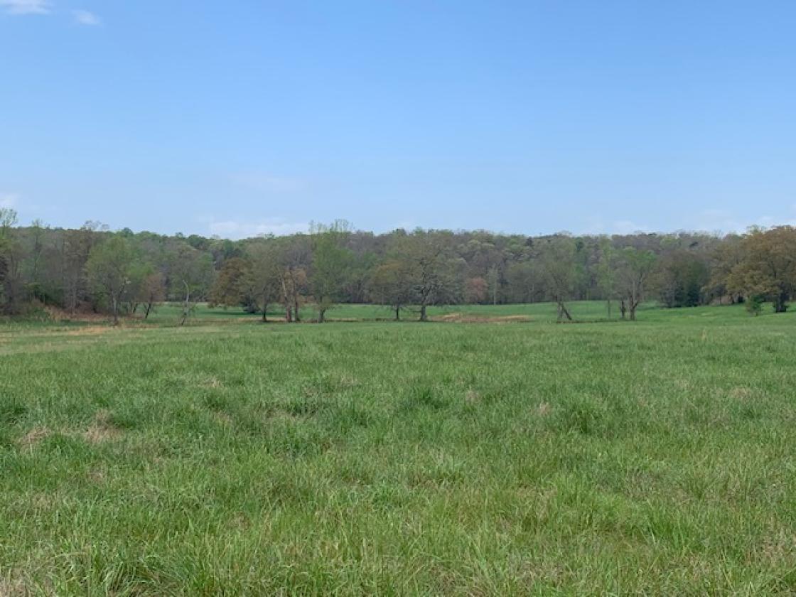 Madison County - Large Estate Farm - photo 25