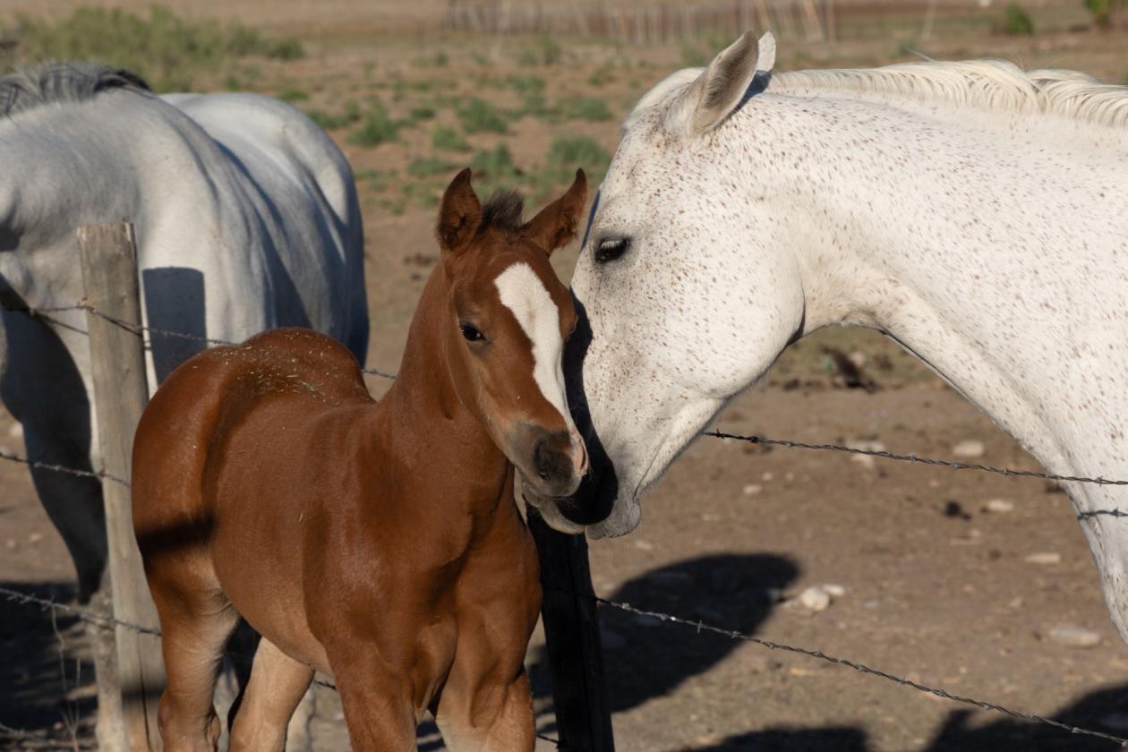 Box B Ranch - photo 19