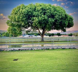Property image.