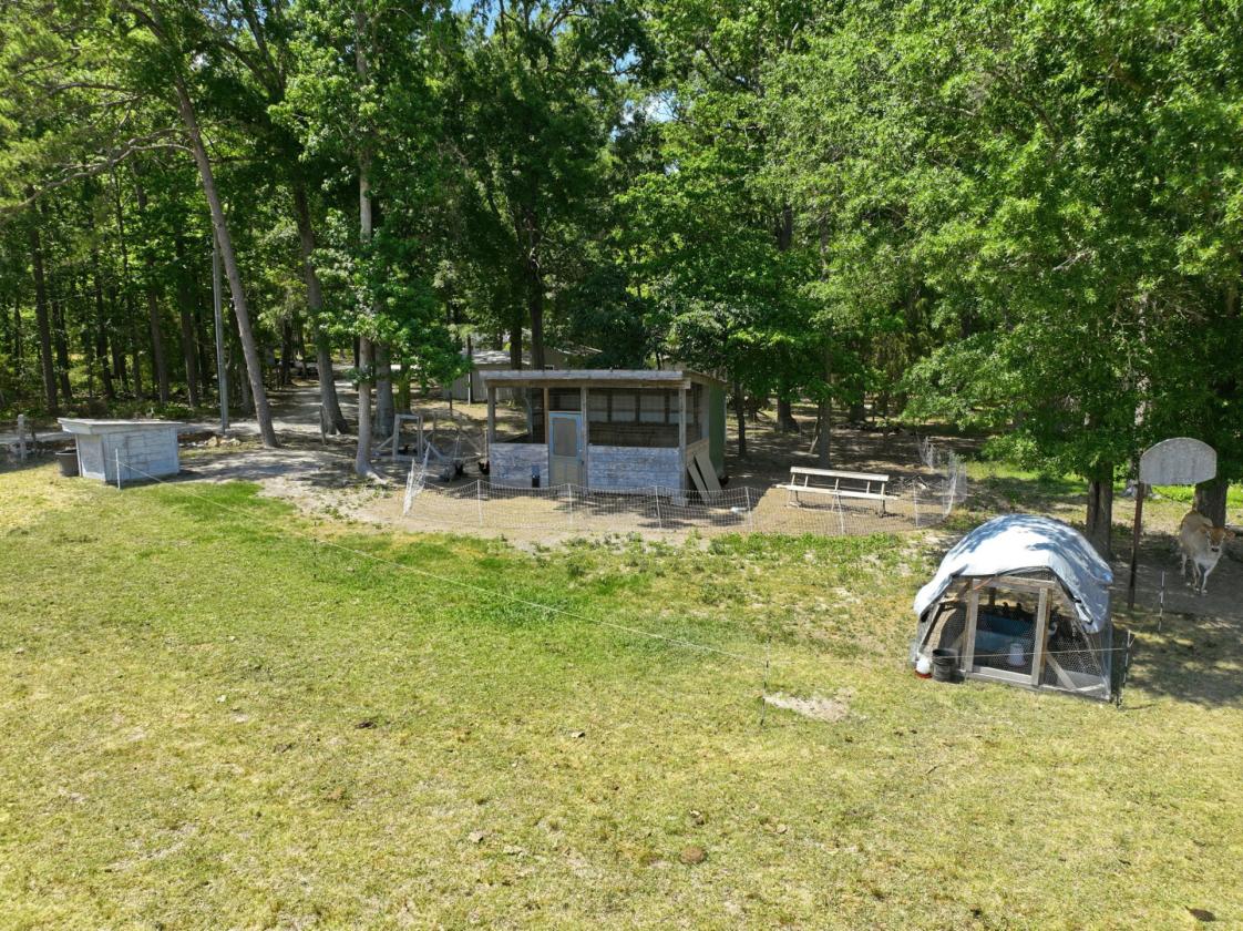 Hobby farm - photo 26