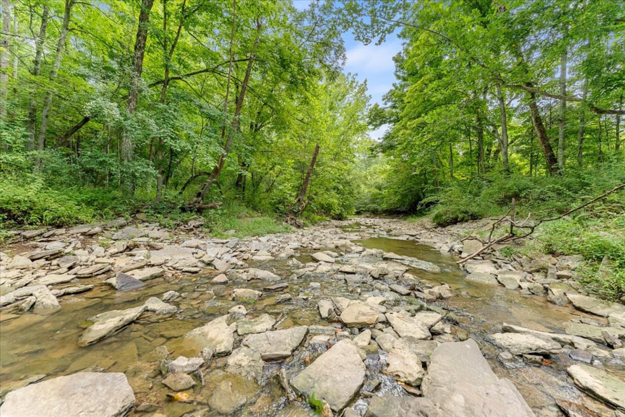 Over 173 acres for your equestrian dreams - photo 10