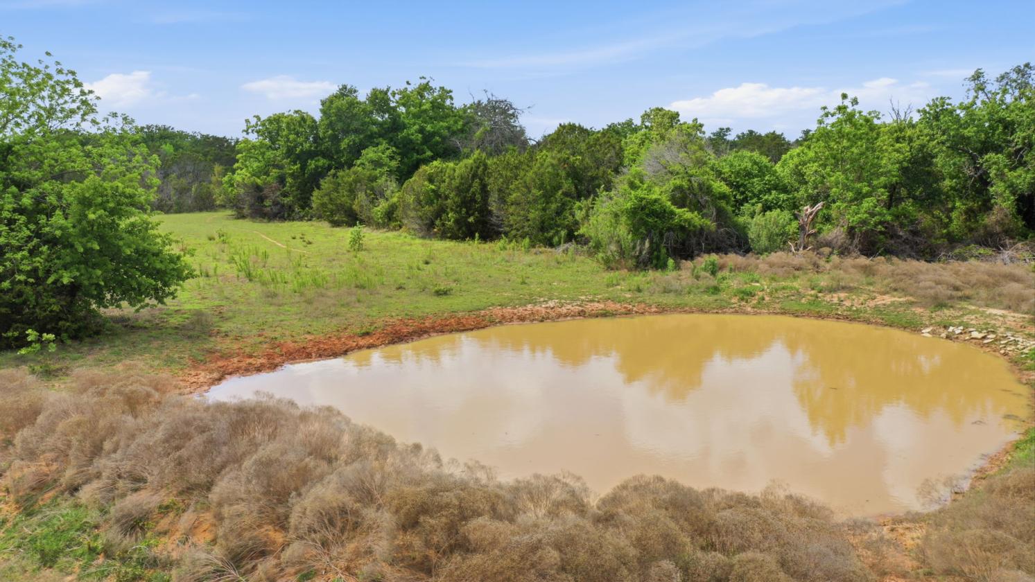 12-Acre Ag-Exempt Property - photo 4