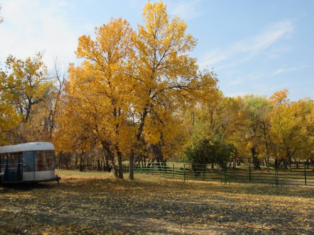 Cross Ranch on Ash Creek * Nebraska Land for Sale... Whitney, Dawes