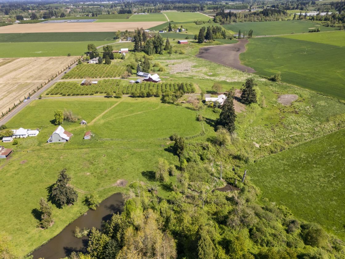 10 Acre Horse Property w/ Two Dwellings - photo 4