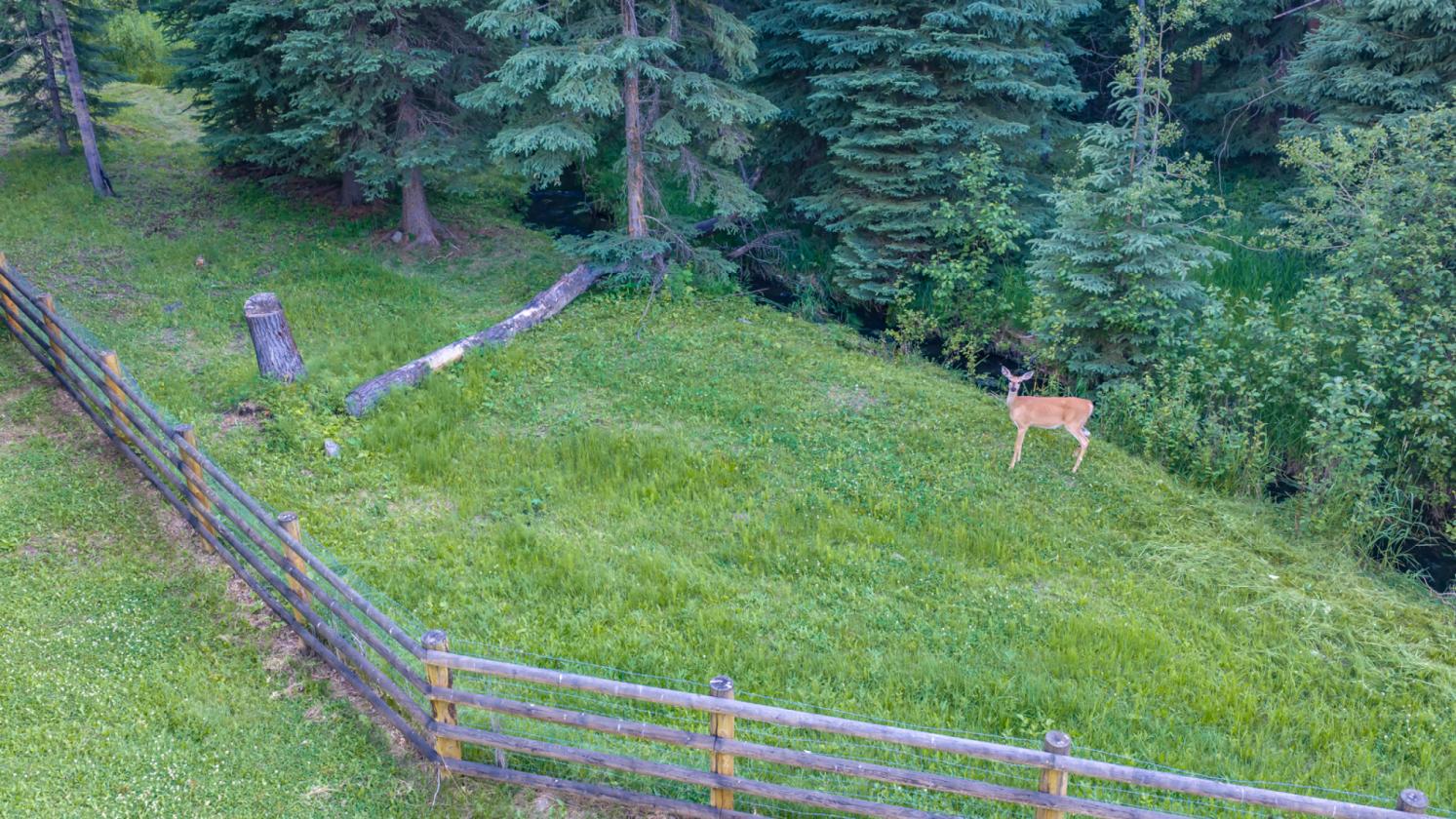 Wild Bill Creek Enclave - photo 15