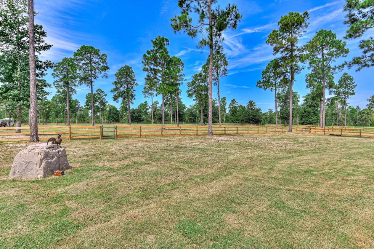 12 Acres Horse Property in the Paddocks - photo 8
