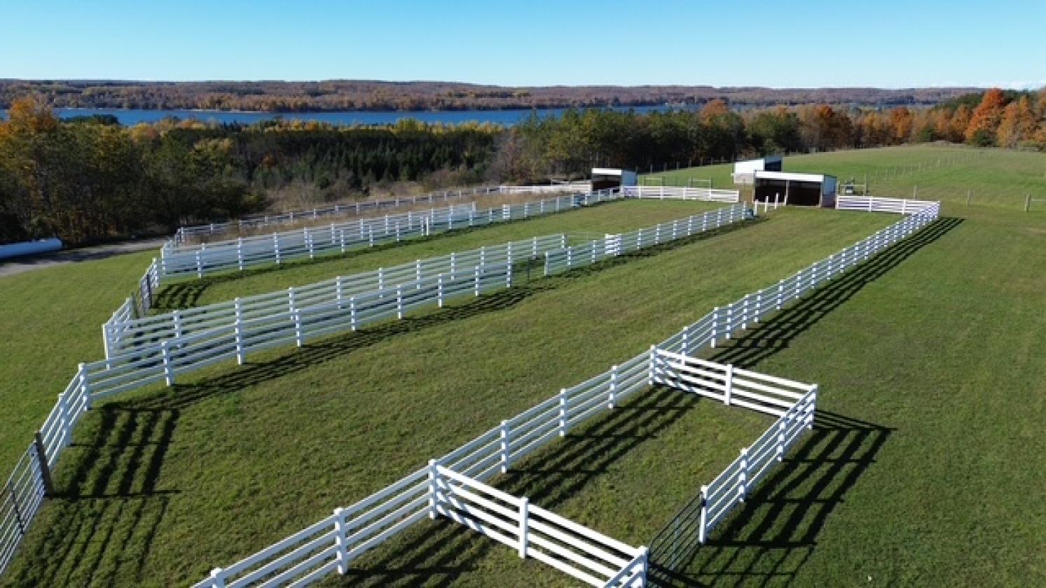 180 ACRE EQUESTRIAN ESTATE WITH PRIVATE LAKE! - photo 4