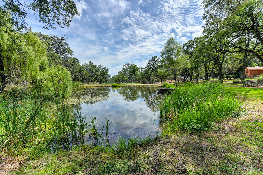 STUNNING EQUESTRIAN 21ac Southwestern Estate w/Barns, Pond and Beach entry... Grass Valley