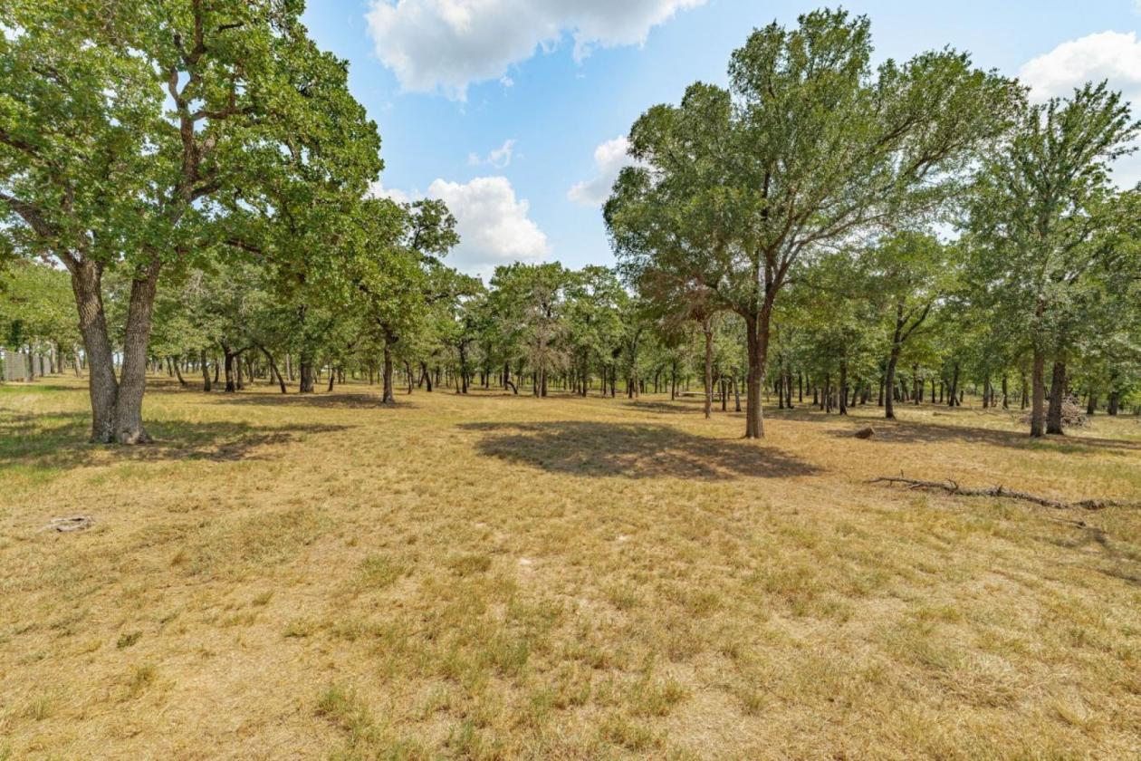 10 Acre, 3/2, Horse Property in Horsemans Ranch - photo 23