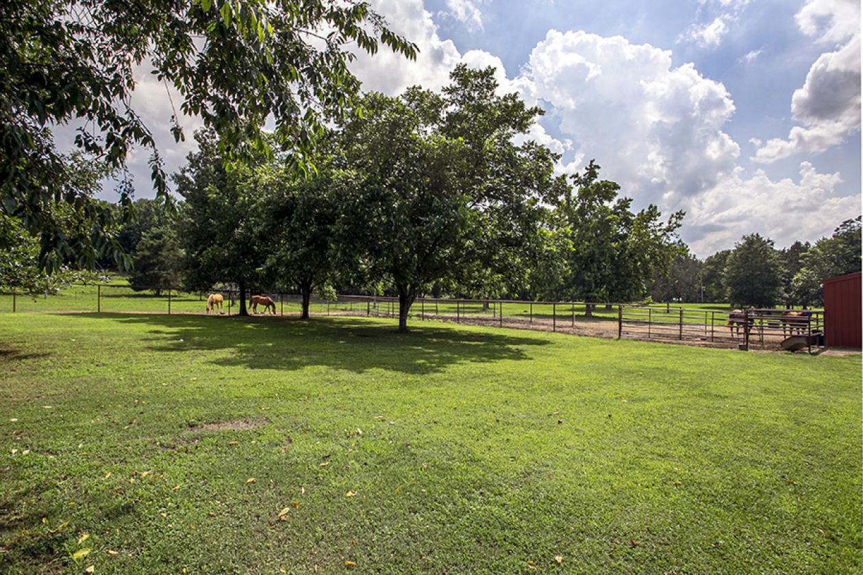 Turnkey Horse Farm on 5 acres with barn - photo 22