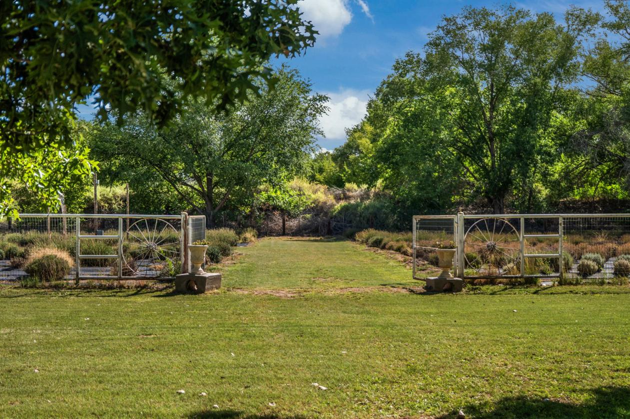 Refined Rural Living with Equestrian Facilities - photo 7