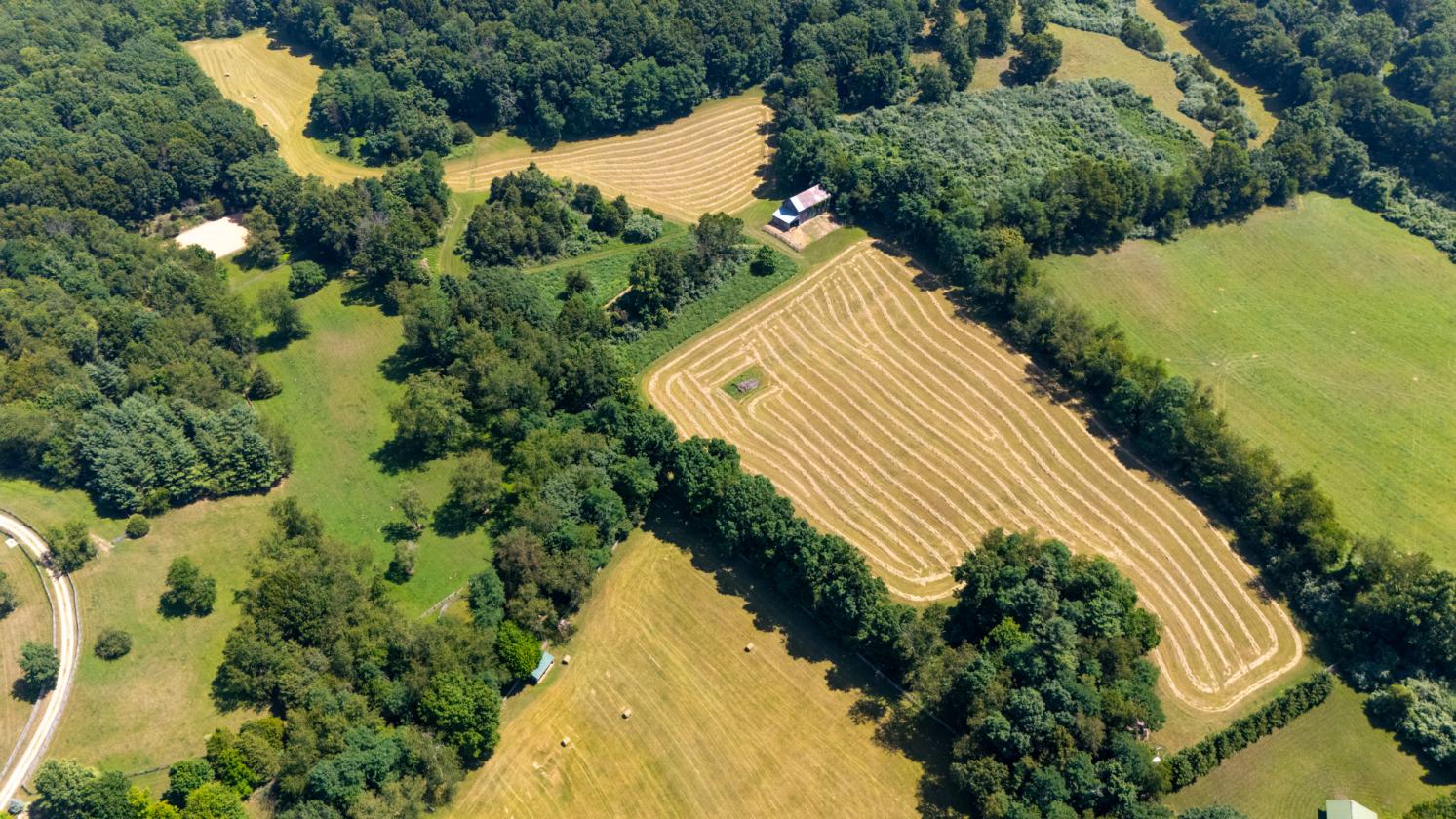 Morley Ridge Park - photo 23