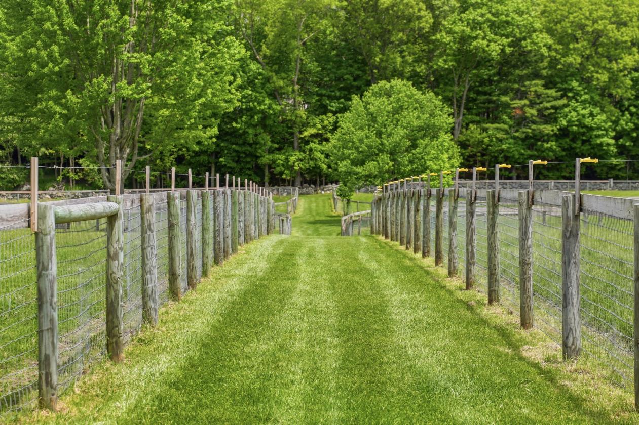 Turnkey Equestrian Estate with Indoor Arena - photo 27