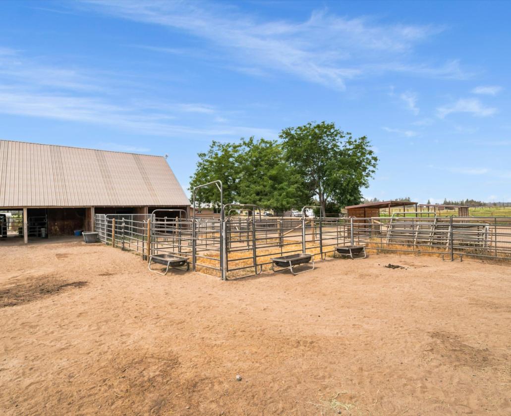 Turnkey Horse Farm and Cozy Home - photo 9