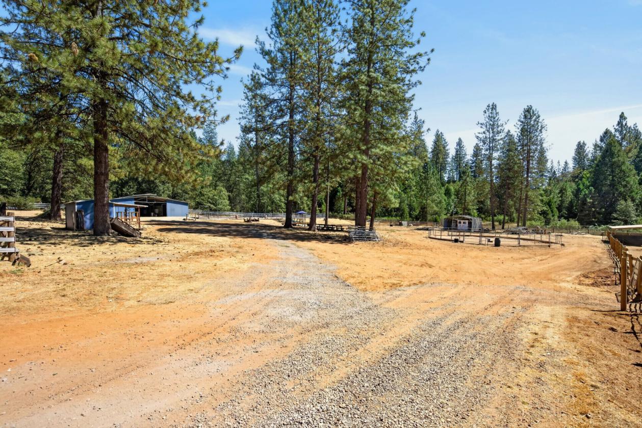 The Equestrian Lifestyle You've Been Waiting For - photo 15