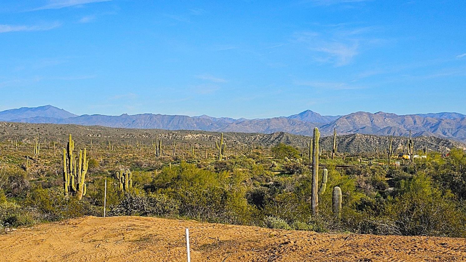 ACREAGE- NATIONAL FOREST FRONTAGE, PRIVATE WELL - photo 8