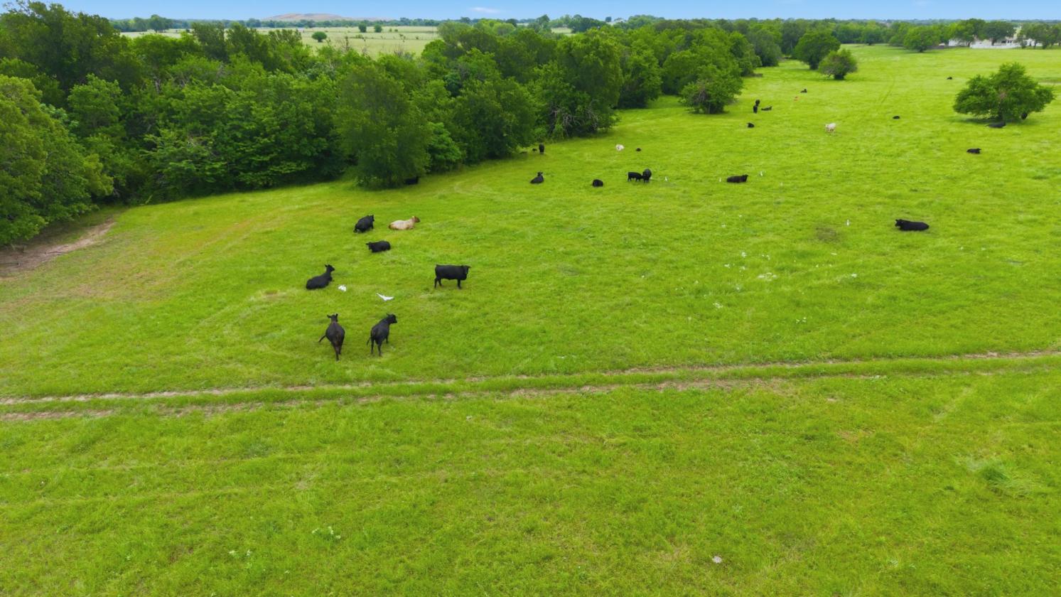 194 ACRE BREATHTAKING RANCH - photo 21