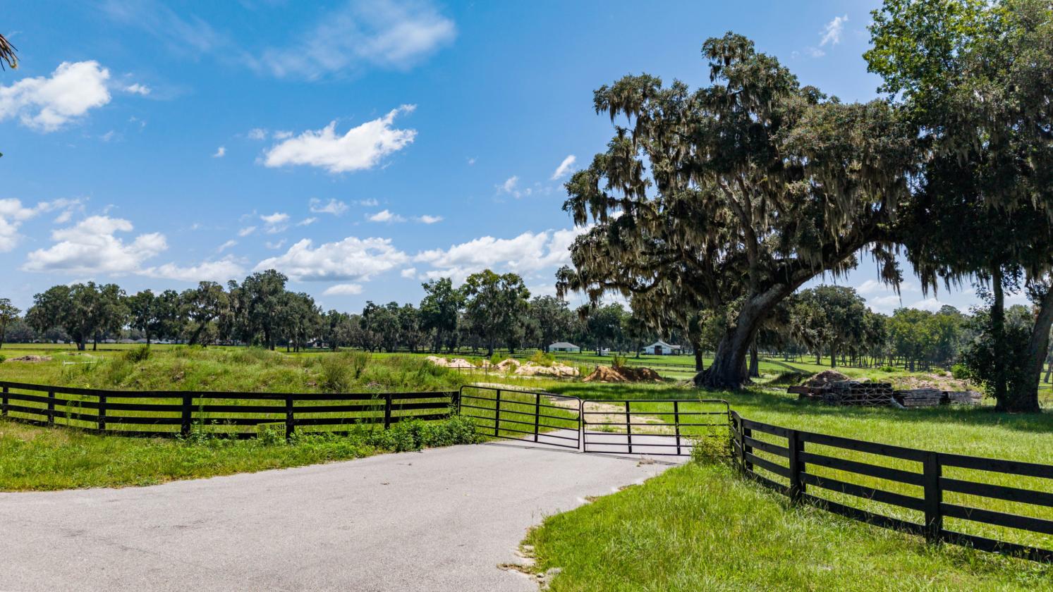 Equestrian home site with incredible view - photo 12