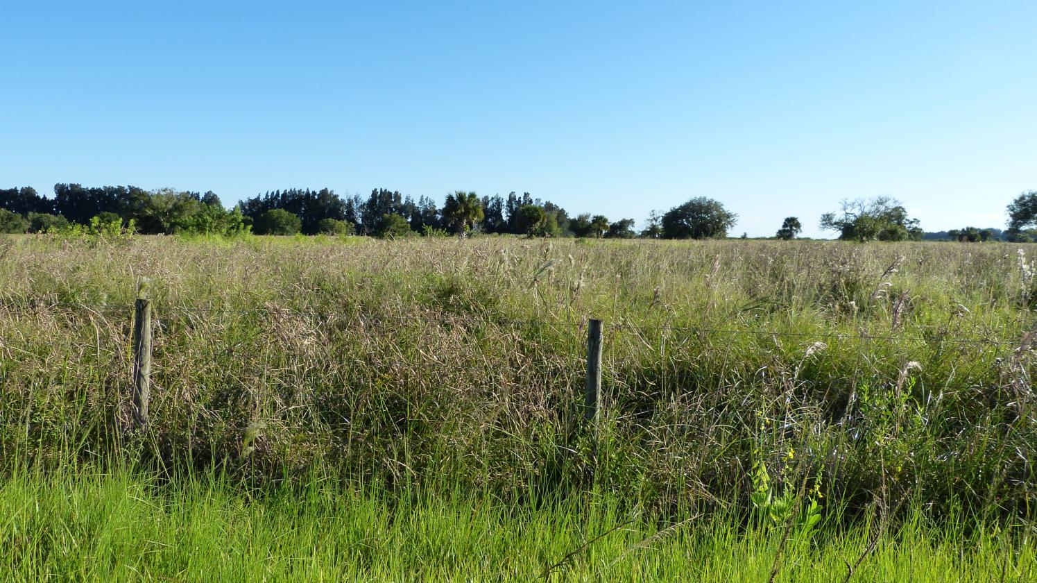 9ac-23ac Platted AG Lots - Horses & Kids Welcome! - photo 9