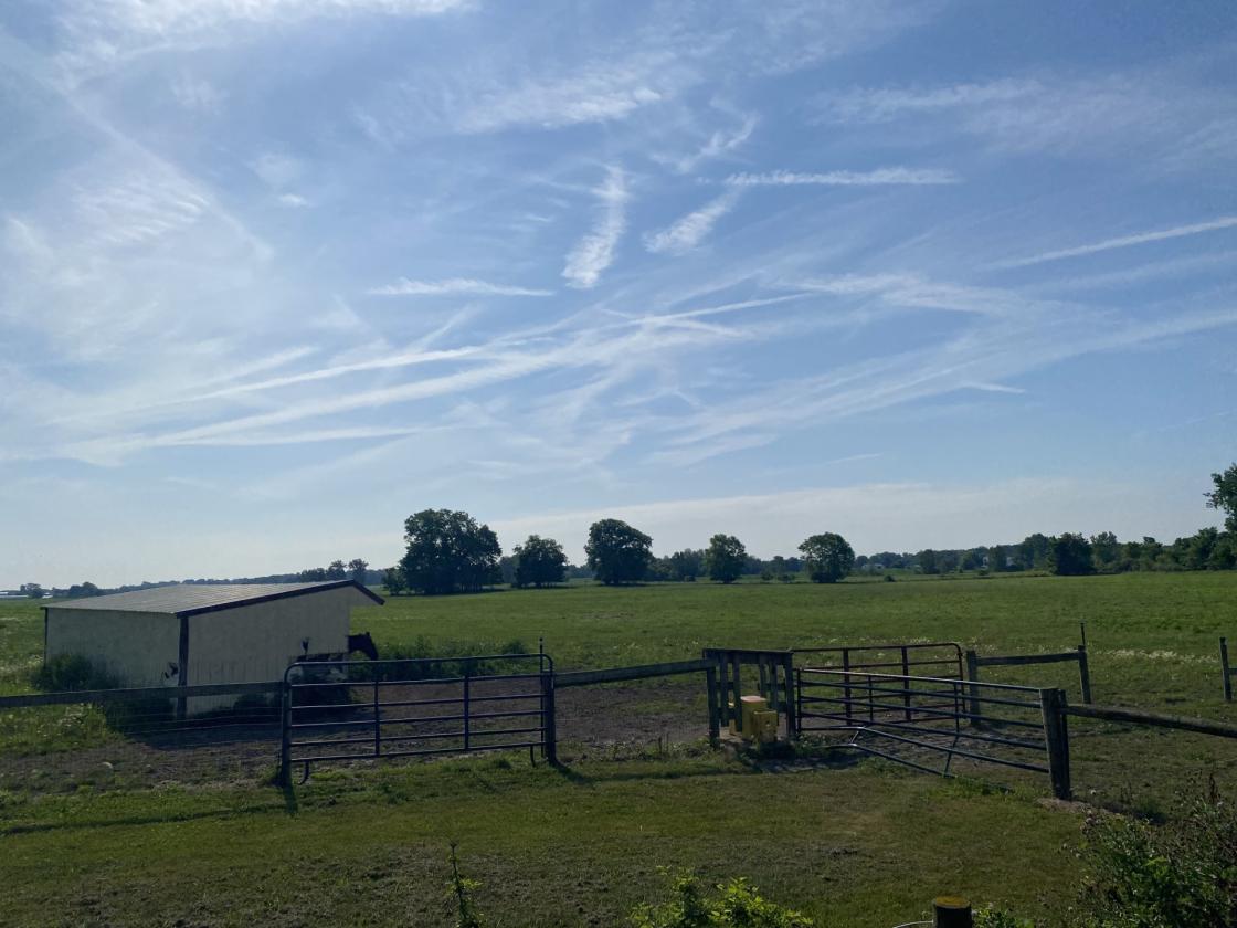Equestrian Paradise on 29 Scenic Acres! - photo 7