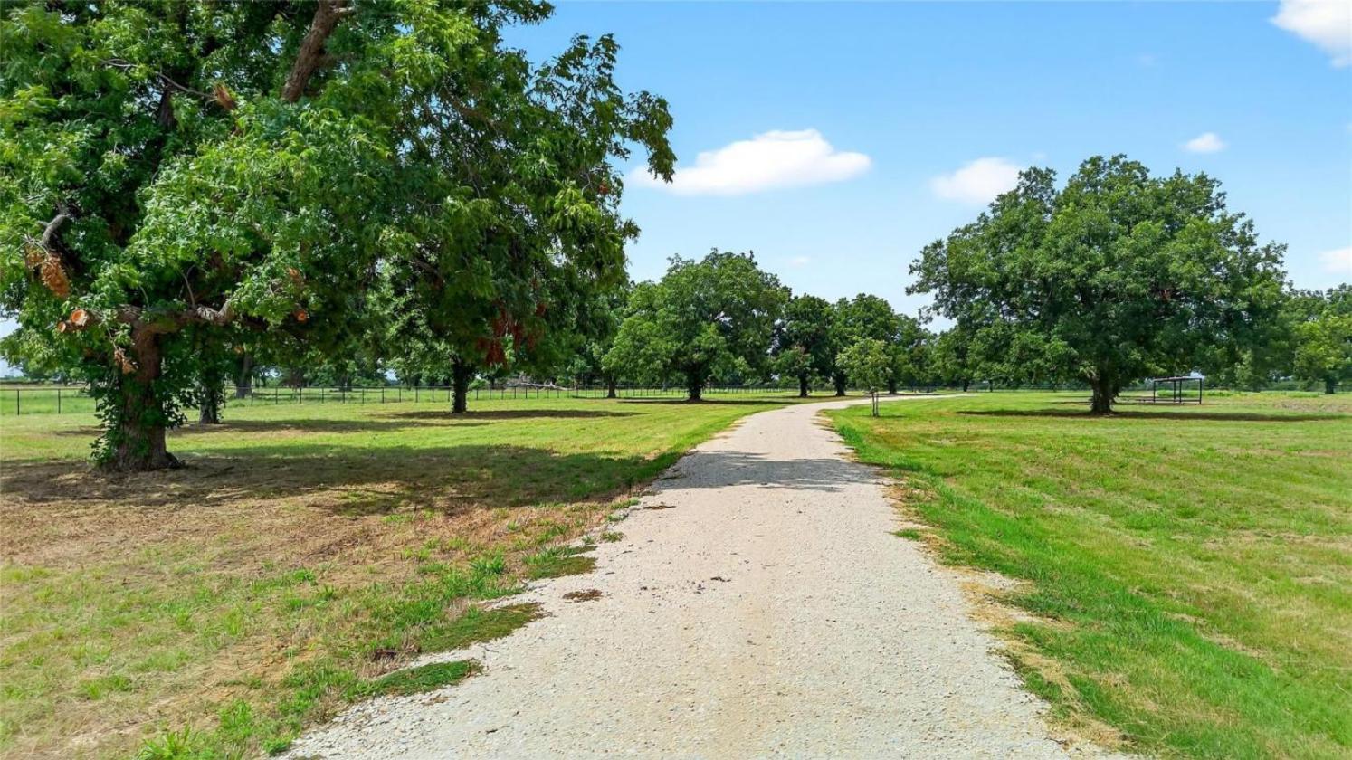 11 Acres of Pecan Trees - photo 4