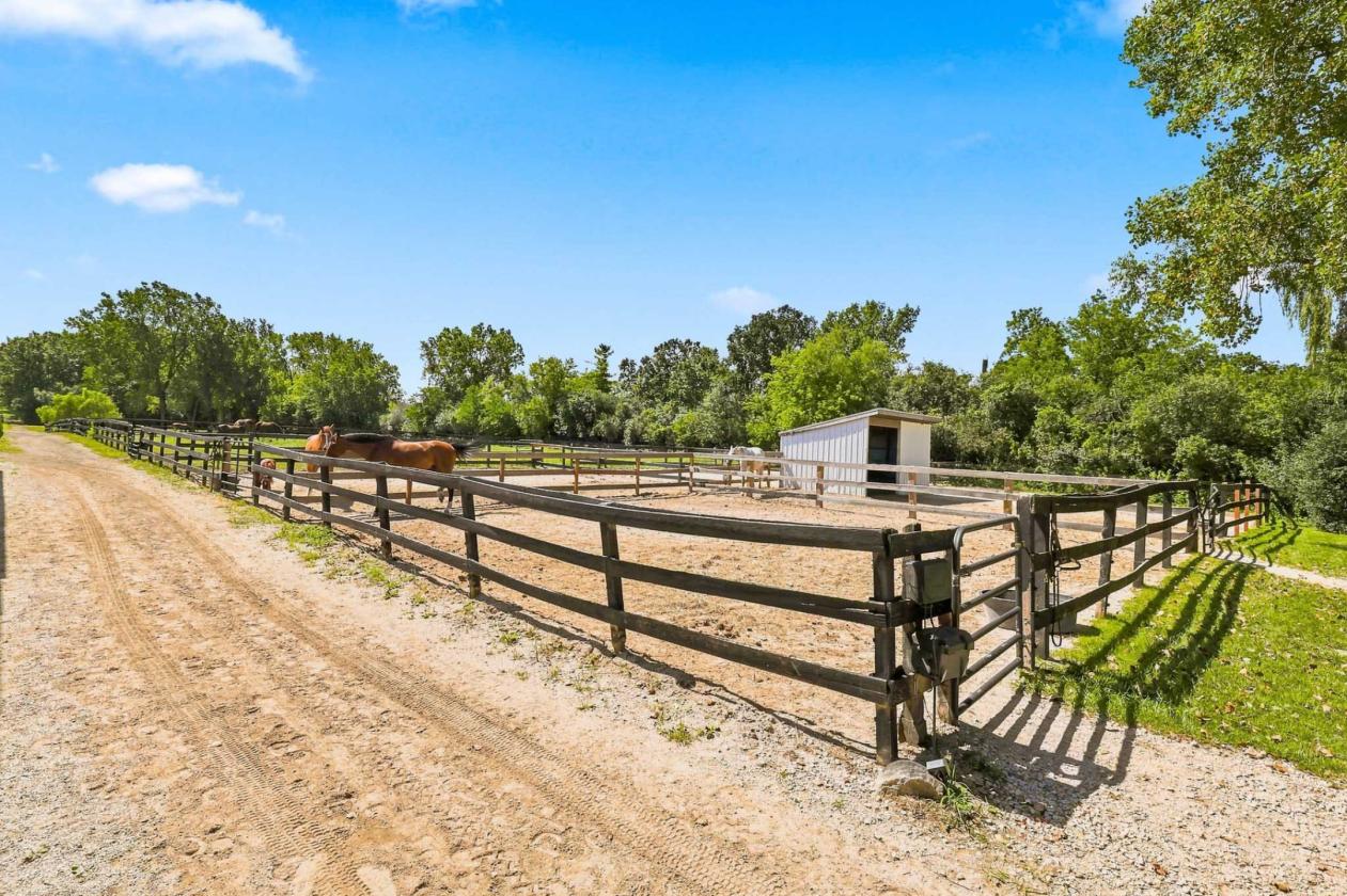 Established Equestrian Estate on 10 Acres - photo 9