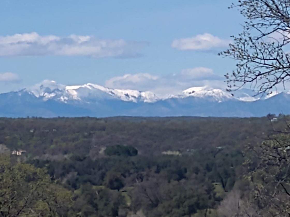 Utilities, Barn, and Mountain Views! - photo 21