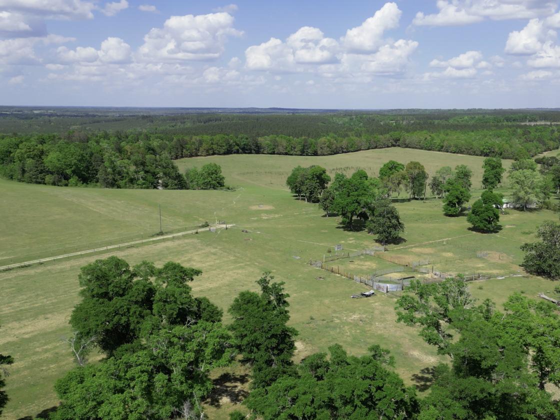 320 prime acres on HIckory Hill, Washington County - photo 3