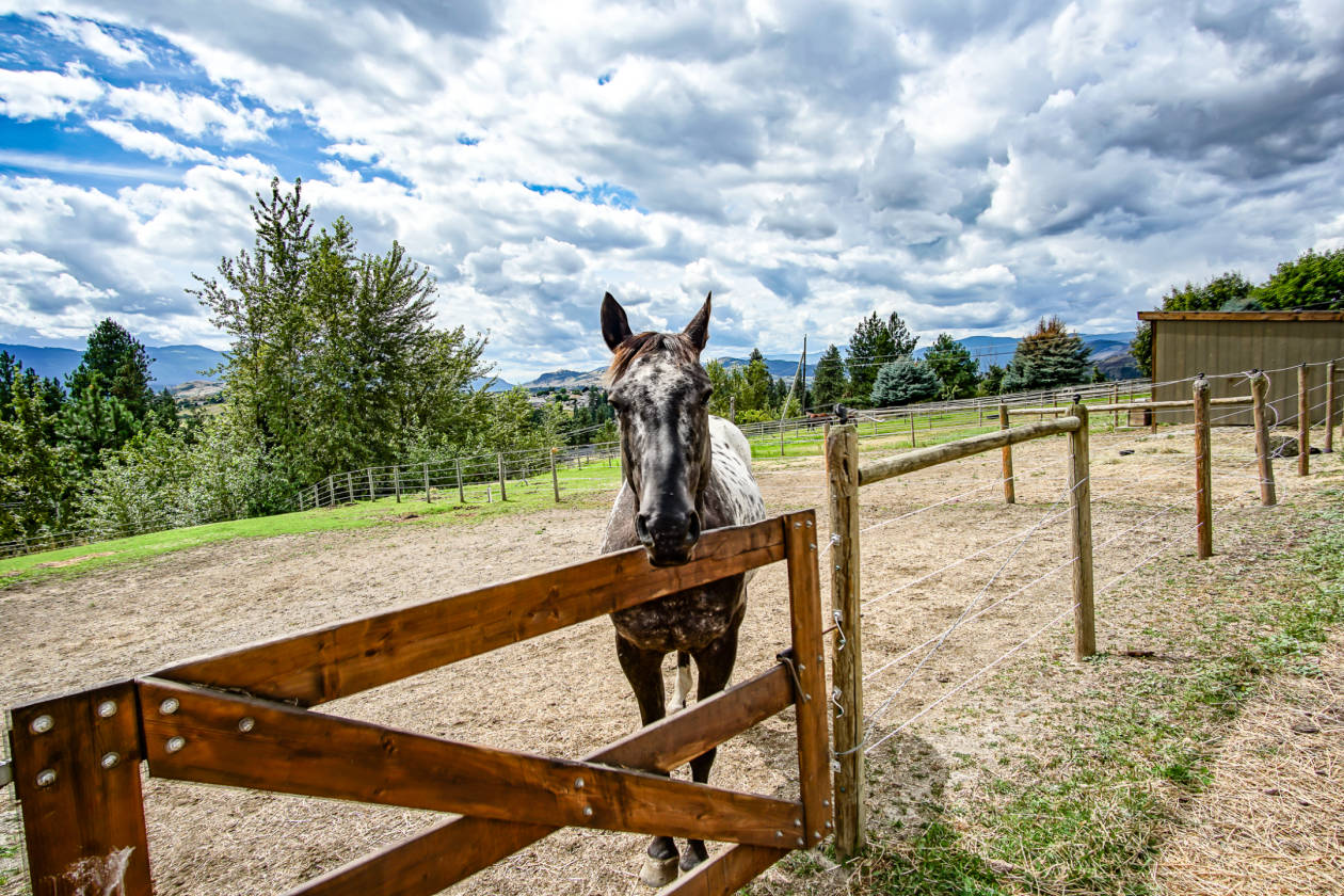 Horse Farm with 2 Homes Vernon, North Okanagan County, British