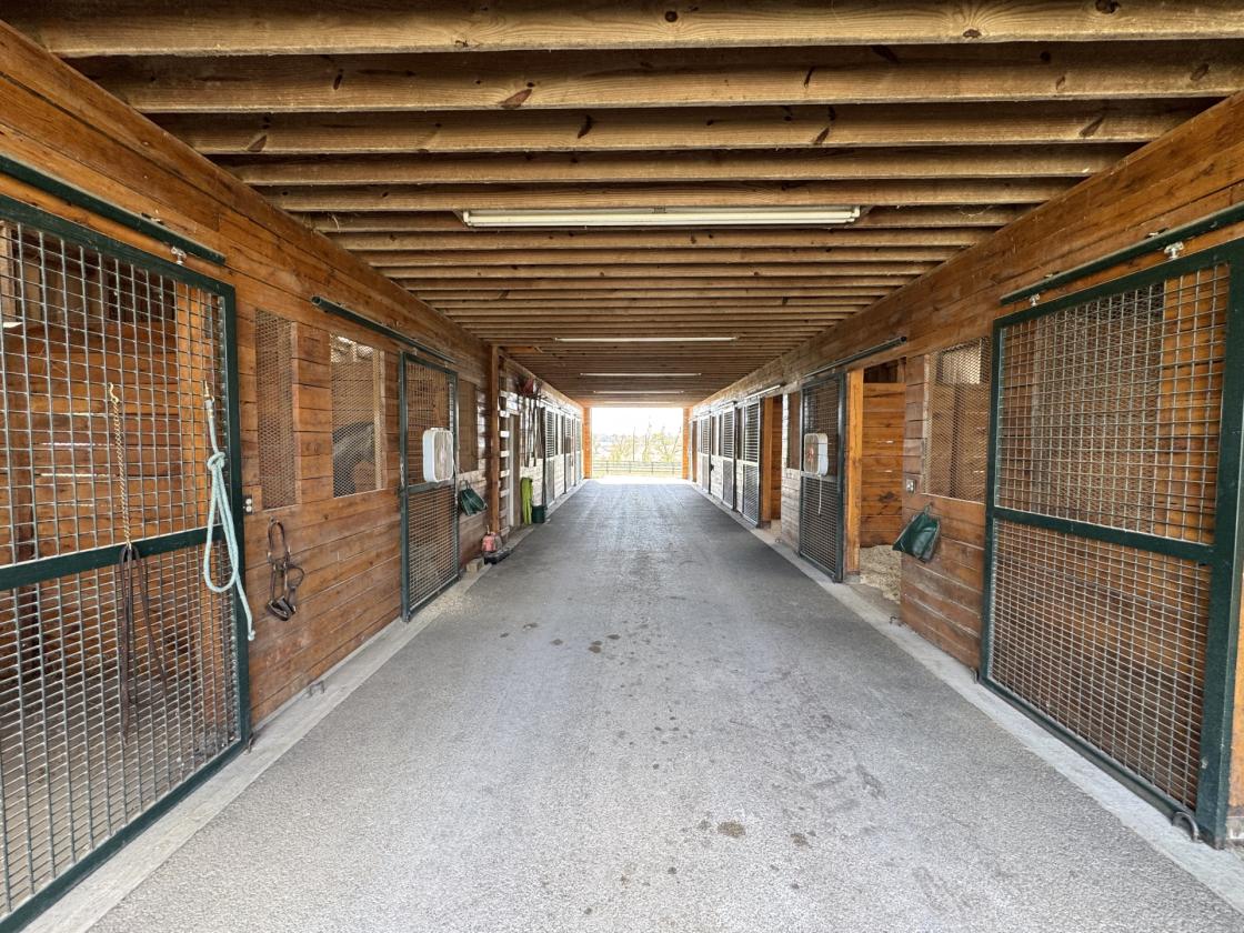 Turn-Key Horse Farm in the Heart of the Bluegrass - photo 11